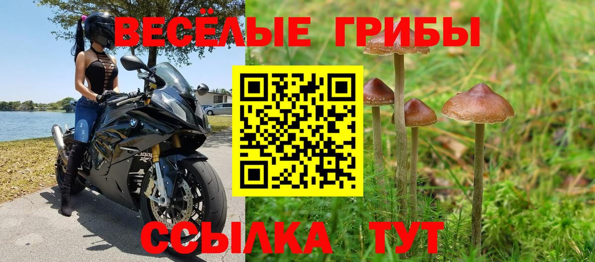 Галлюциногенные грибы мухоморы  что такое   Искитим  Вход с VPN 