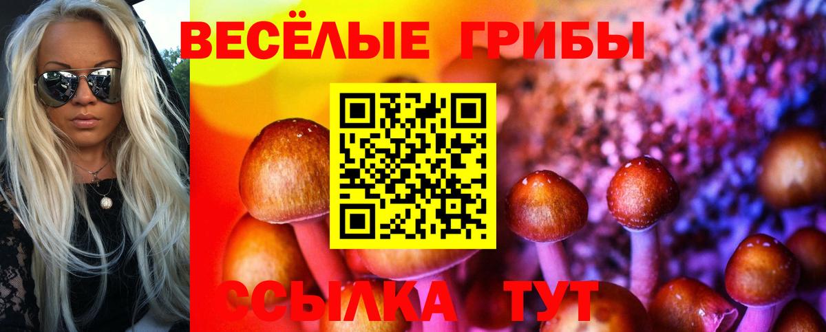 Галлюциногенные грибы MAGIC MUSHROOMS Искитим