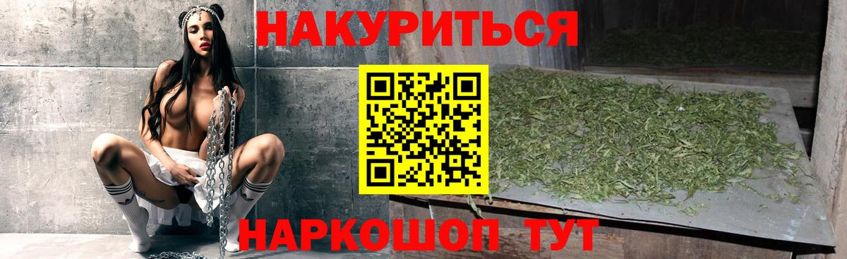 Каннабис сатива Искитим